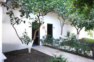 Perast Garden Hotel - Çıralı - 6