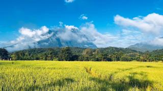 หลงเขา Chiang Dao - - 9