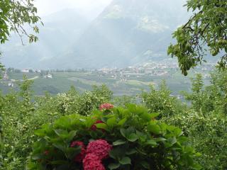 Pension Planta - Merano - 5