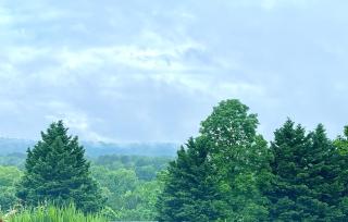 Our Castleview - Ringgold - 8