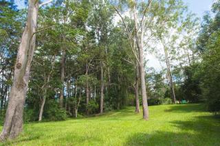 AAK cabin - standalone riverfront cabin - 6