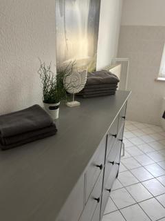 komfortable Ferienwohnung am Stadtwald von Plauen - Plauen - 1