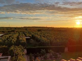Mas Montbrio Belvedere - Cambrils - 9