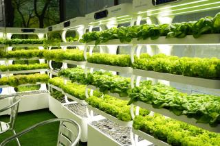 Treppan Hotel & Suites By Fakhruddin - Dubai - 3