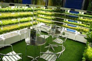Treppan Hotel & Suites By Fakhruddin - Dubai - 4
