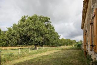 Le chene vert - Saint-Front-de-Pradoux - 8