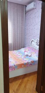 The Quiet Villa Baku - Baku - 5
