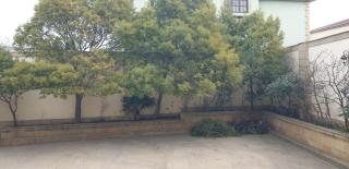 The Quiet Villa Baku - Baku - 3
