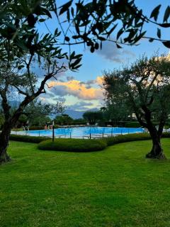 Hotel Ulivi - Paratico - 6