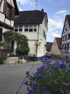 Mariposa Apartment - Efringen-Kirchen - 5