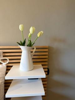 Bigiogera Home - 20 mins from Duomo - Milan - 4