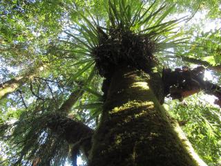 Beaconstone - off grid retreat - 2