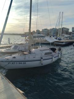 Papifrank - Torrevieja - 5