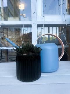 Cozy Studio in Central Glebe - Sídney - 9
