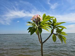 Lagoon Bay Resort - Negombo - 6