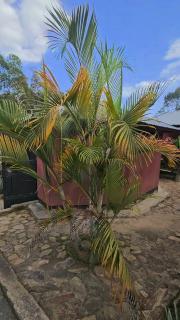 JOOSSA Resort - Luanda - 9