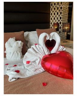 Hotel de Ilhavo Plaza & Spa - Ílhavo - 4