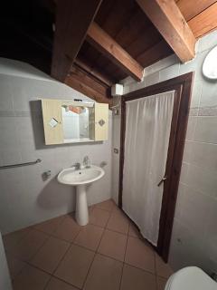 Dante 10 Flat - Cremona - 2