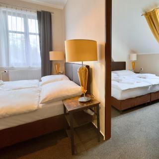 Hotel Zelený dům - Dolní Poustevna - 8