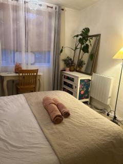 Cosy Ground Floor Apartment With Fantastic Transport Links - 4