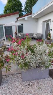 I Delfini - Natural B&B - Cesenatico - 5