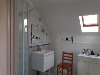 La chambre aux papillons - Huismes - 6