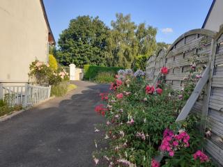 La chambre aux papillons - 2