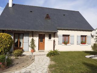 La chambre aux papillons - Huismes - 2