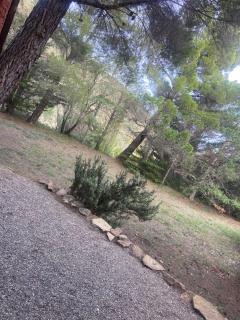 L'Amandière - Cucugnan - 2