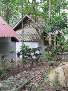 Baan Saikuan - Phra Ae beach - 5