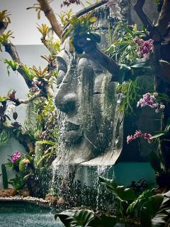 Canggu Buddha Waterfall Villa - 0