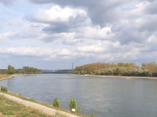 Wohnen am Rhein, zentrumsnah, Mietvertrag obligatorisch - Espira - 5