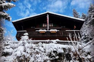 Chalet Tannegüetli - Grindelwald - 8