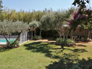 Les treilles de Provence, Gîte la glycine - Villeneuve-lès-Avignon - 2
