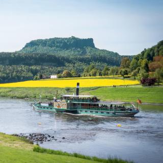 Ferienwohnungen Alte Destillerie Rathen - Rathen - 9