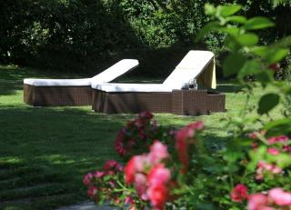 Hotel Burgblick - Badenweiler - 3