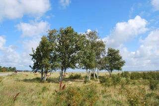 Hotel Hiddensee Hitthim - Kloster - 7