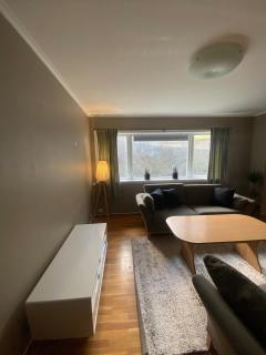 Spacious Trolltunga apartment close to the city center, good parking - Odda - 3