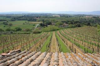 Borgo Villa Certano - Case Vacanza in Toscana - 3
