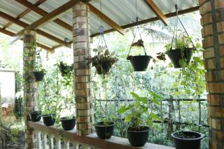 Peaceful Homestay - Midigama East - 6