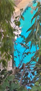 Sunshine serviced apartment-nyali - Mombassa - 6