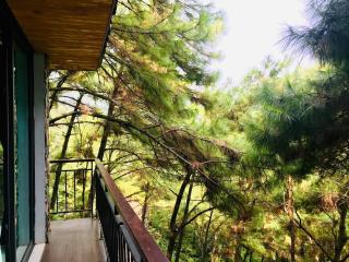 DE'BAY VILLA - Stone house in the forest - Sóc Sơn - 5