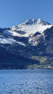 Seehotel Schwert - Gersau - 7