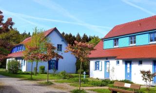 Ferienwohnung Bakenberg auf Rügen (So) - Dranske - 9