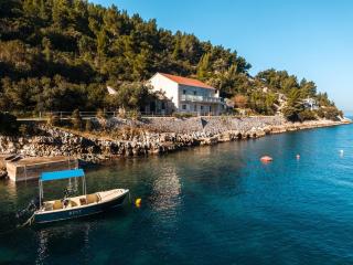 Holiday House Babina - Blato - 8