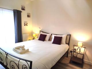 Bel appartement plein coeur d'Angoulême - Angulema - 7