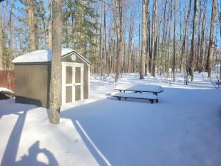 The Higgins Lake Hideaway - Super Cute! - 4