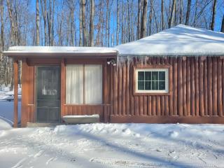 New! The Higgins Lake Hideaway - Super Cute! - 2