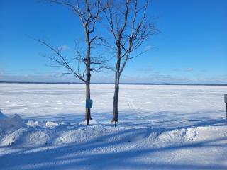 The Higgins Lake Hideaway - Super Cute! - 3