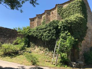 Domaine d'Alcapiès - Saint-Jean-dʼAlcapiès - 6